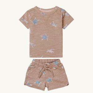 NWT - ORGANIC premium Noppies turtles set